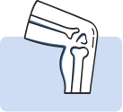 bones_joints_icon_807c2b99-d576-4873-b6f5-574e6eee61b9_100x_crop_center
